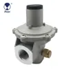 HEAPE Europe And India Standard Pipe Natural Gas Regulator