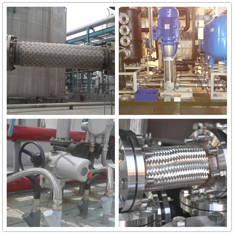 ANSI/DIN/BS/JIS/GB stainless steel SS304 SS316 SS316L flange ends flexible metal hose