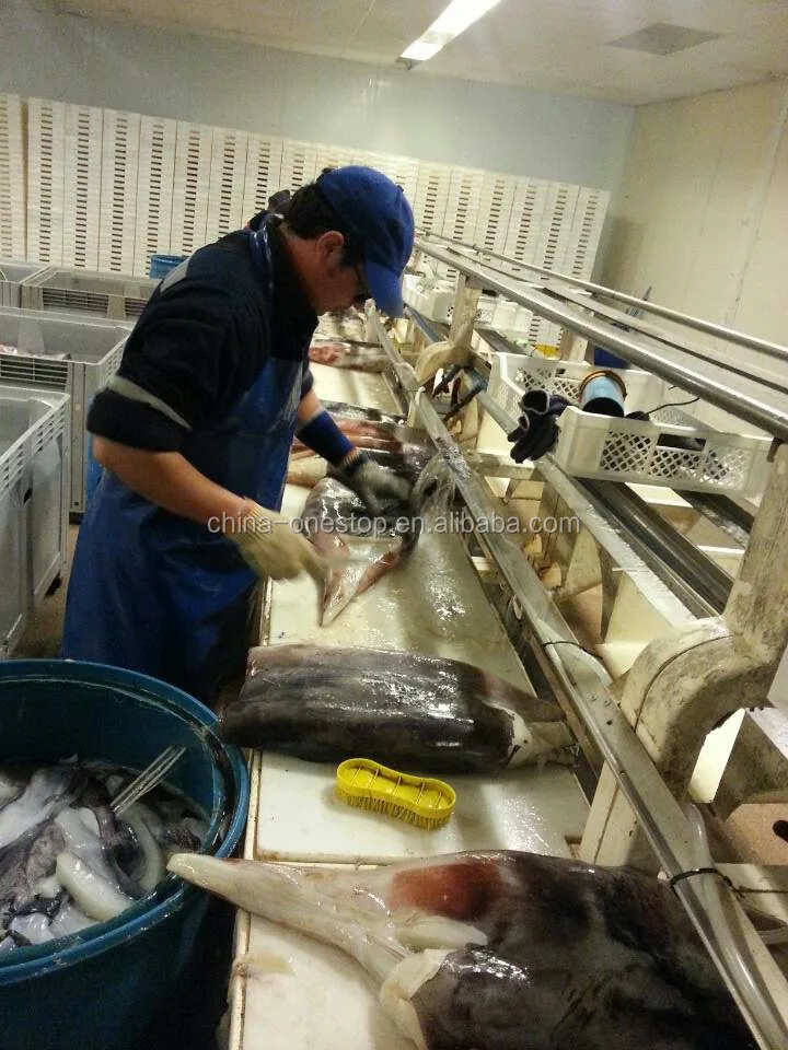 South American Market Big Squid Or Seafood Processing Line For Fish