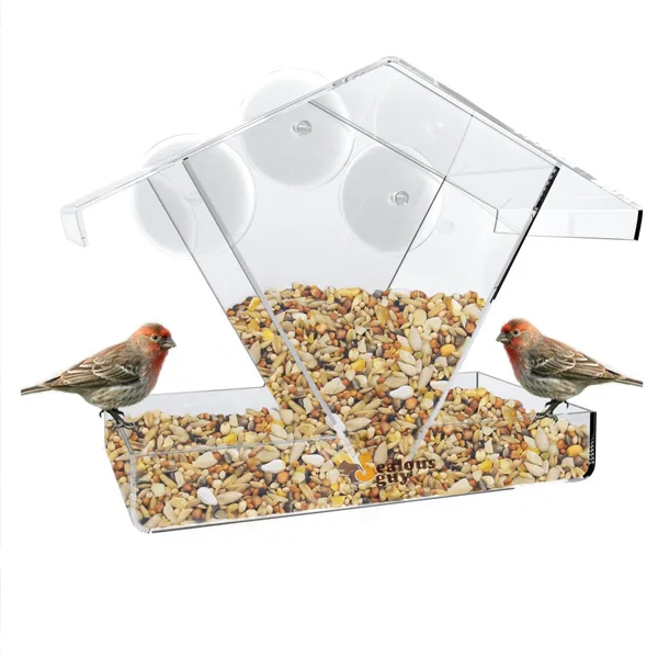 Nice Clear Acrylic Wholesale New Pigeon Bird Feeder Buy Bird Feeder