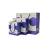 Custom paper gift bag with logo print