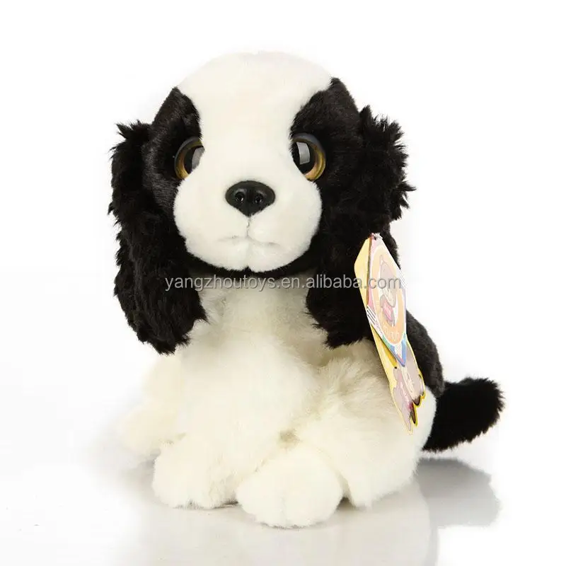 english springer spaniel teddy