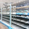 China hydroponics fodder for cattle