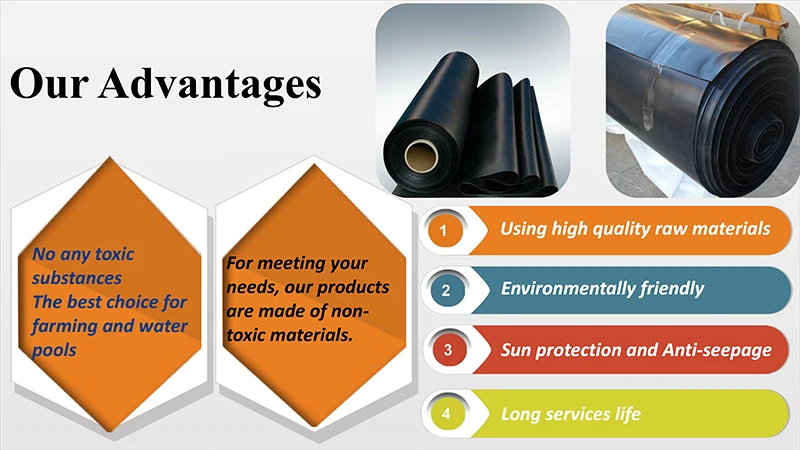 A Geomembrane Pond Liner.jpg