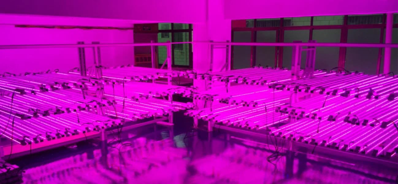 Inter-iluminación de doble cara LED del LED crecer ligero para la horticultura
