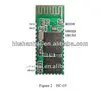 bluetooth module
