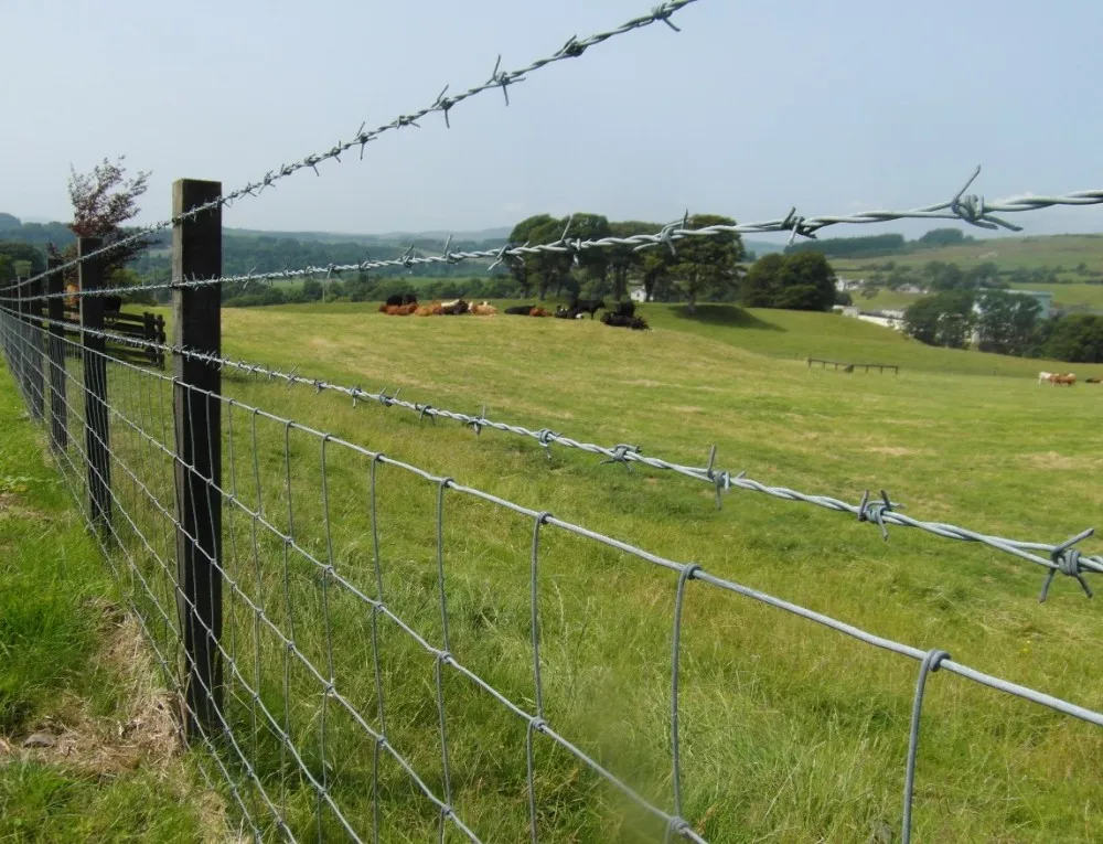 High Quality Galvanized Barbed Wire Security Barbed Wire Buy Barbed