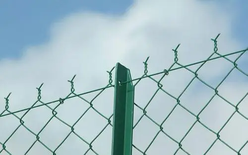 fence top.jpg