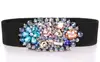 Iron On Fancy Crystal Sash Bead With Claw for Sewing on Belt Fashion Bead Accessory