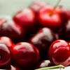 High quality cherries fruit supplier