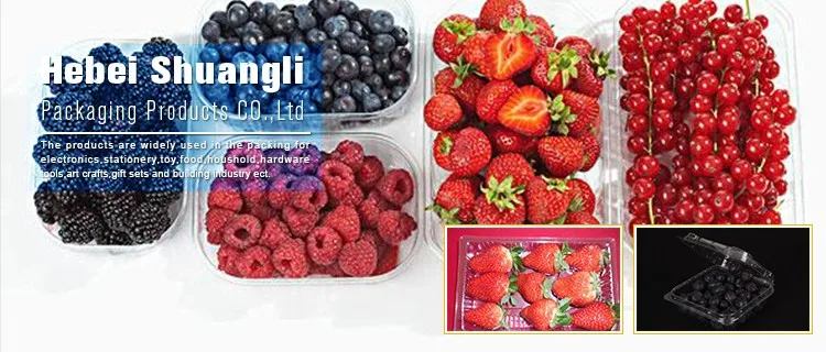 fruit  packaging