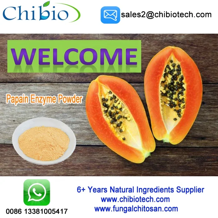 Pure Papaya Seed Extract Papain Enzyme Powder Bulk For Meat Tenderizer
