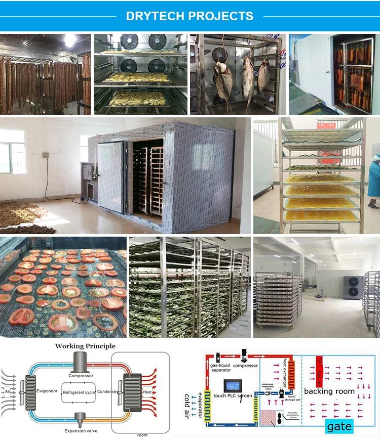 Electric Fruit Dryer,Coconut Drying Machine Fruit Dry Machine