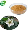 Free sample ISO certified 10:1 surgical anesthesia Flos Daturae Extract
