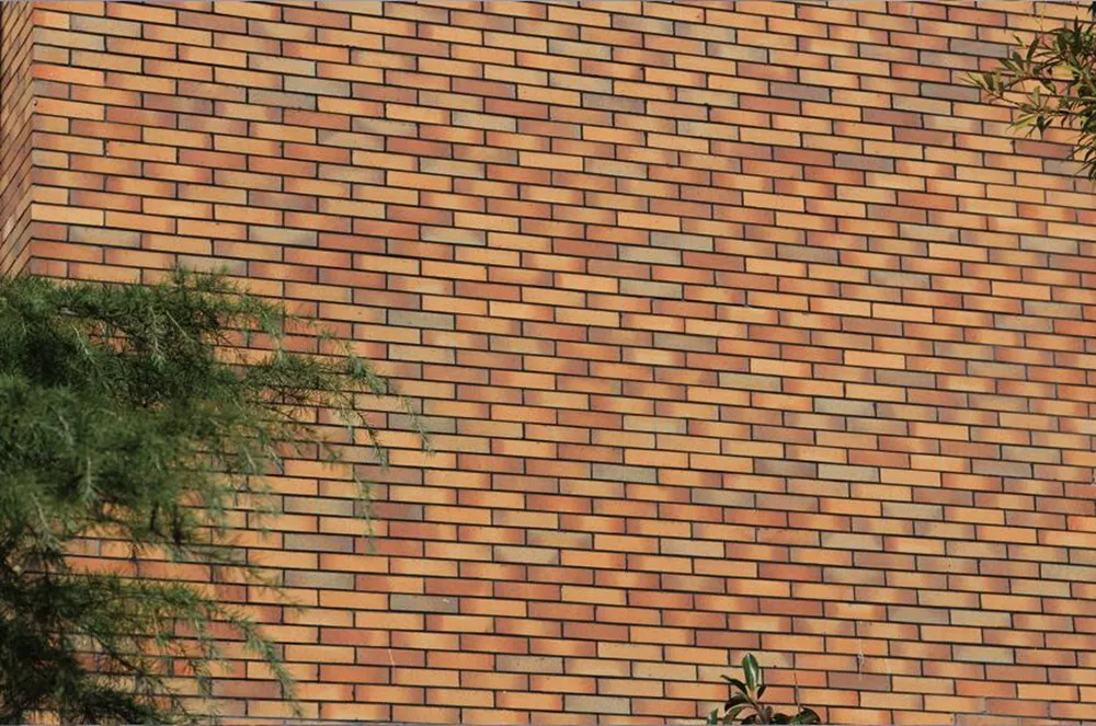 3_