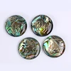Polished Abalone Shell 12 Zodiac Signs mother of pearl Pendant Jewelry