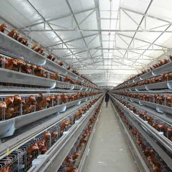 Battery Chicken Layer Cage Sale For Pakistan Farm With Best Price Buy Battery Chicken Layer Cage Sale For Pakistan Farmpoultry Layer Cage For