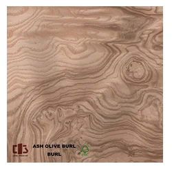 Loyalwood Factory Supply Rotary Cut White Ash Burl Veneer Natural Wood Face Veneer For Plywood