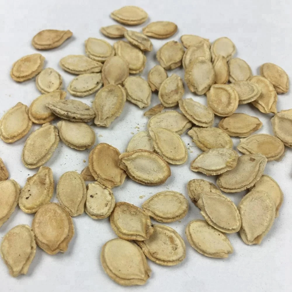 Chinese Watermelon Diminish Inflammation Fine Vegetables Bilateral Wax