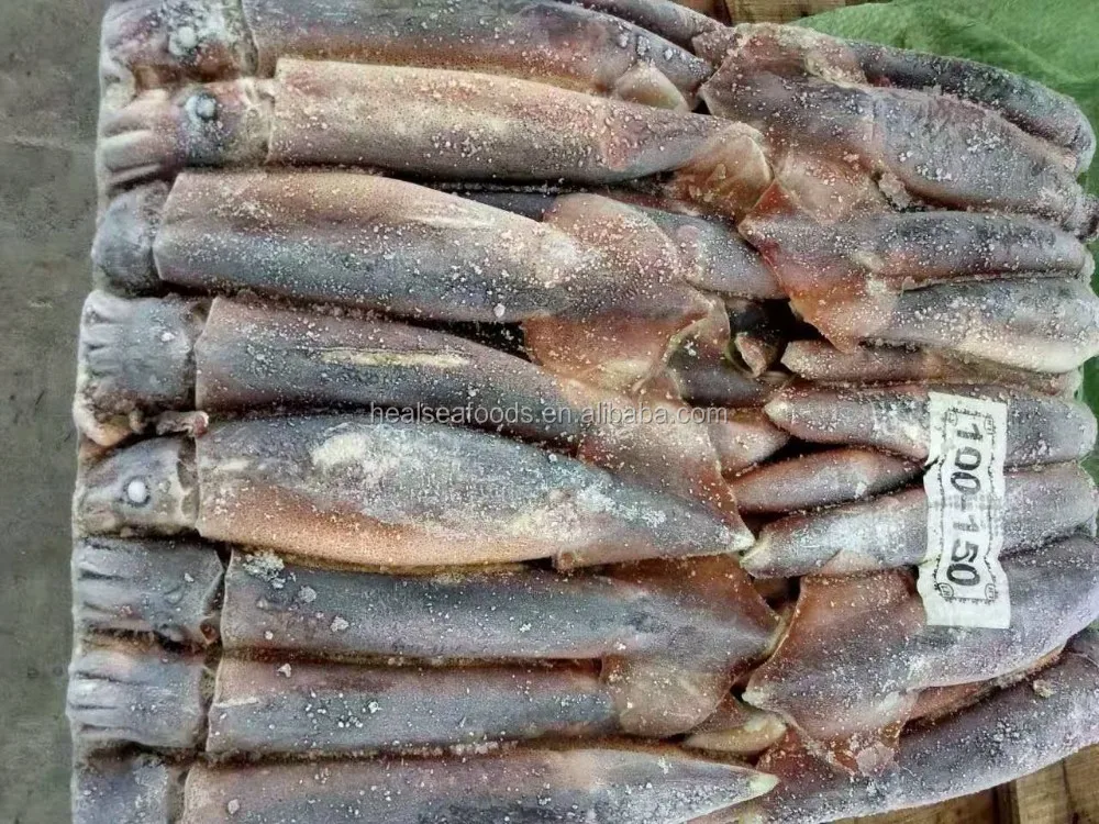 Light Catching Sea Frozen Squid For Bait - Buy Squid,Squid For Bait