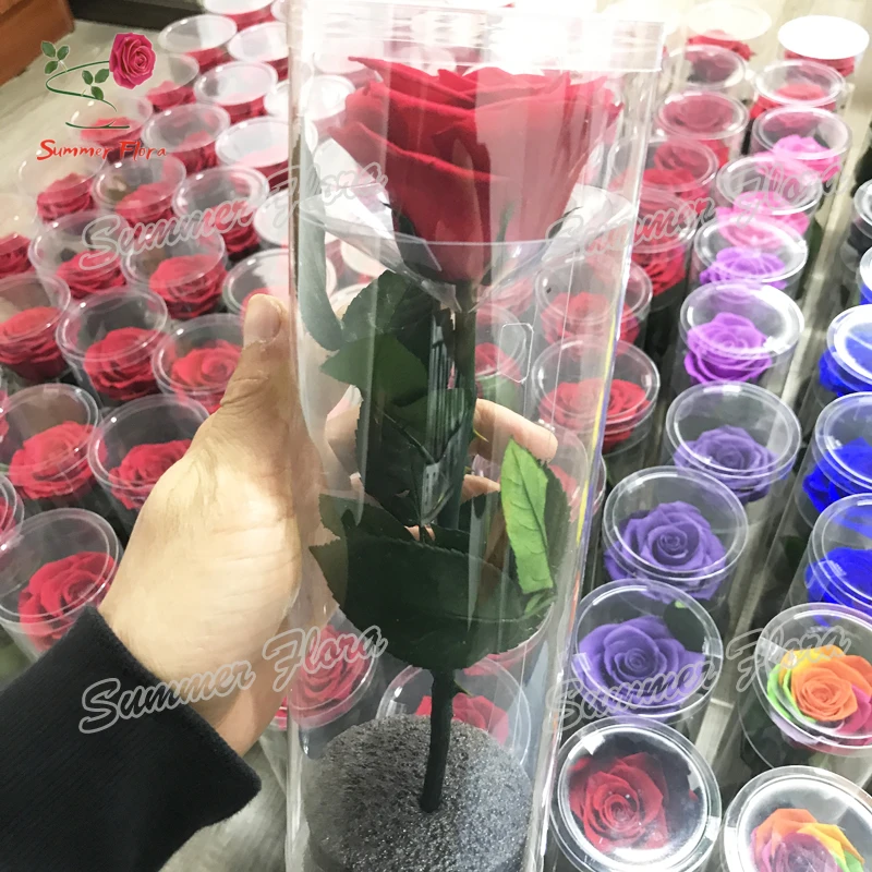 Sf A Grade Real Preserved Roses With Long Rose Stem Eternal Rose For Flower Boxes Arrangement
