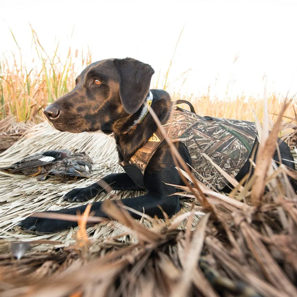 高品质可调迷彩氯丁橡胶猎狗训练背心