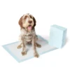Procure xxl absorbent pet training pads
