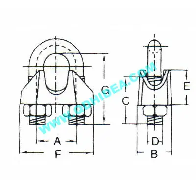 P78.03.jpg