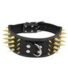 Four rows of gold nail PU collar with 7.5CM wide pet supplies wholesale