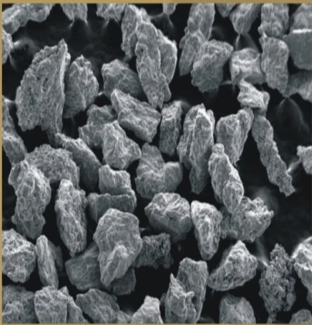 SEM  of Titanium powder.jpg