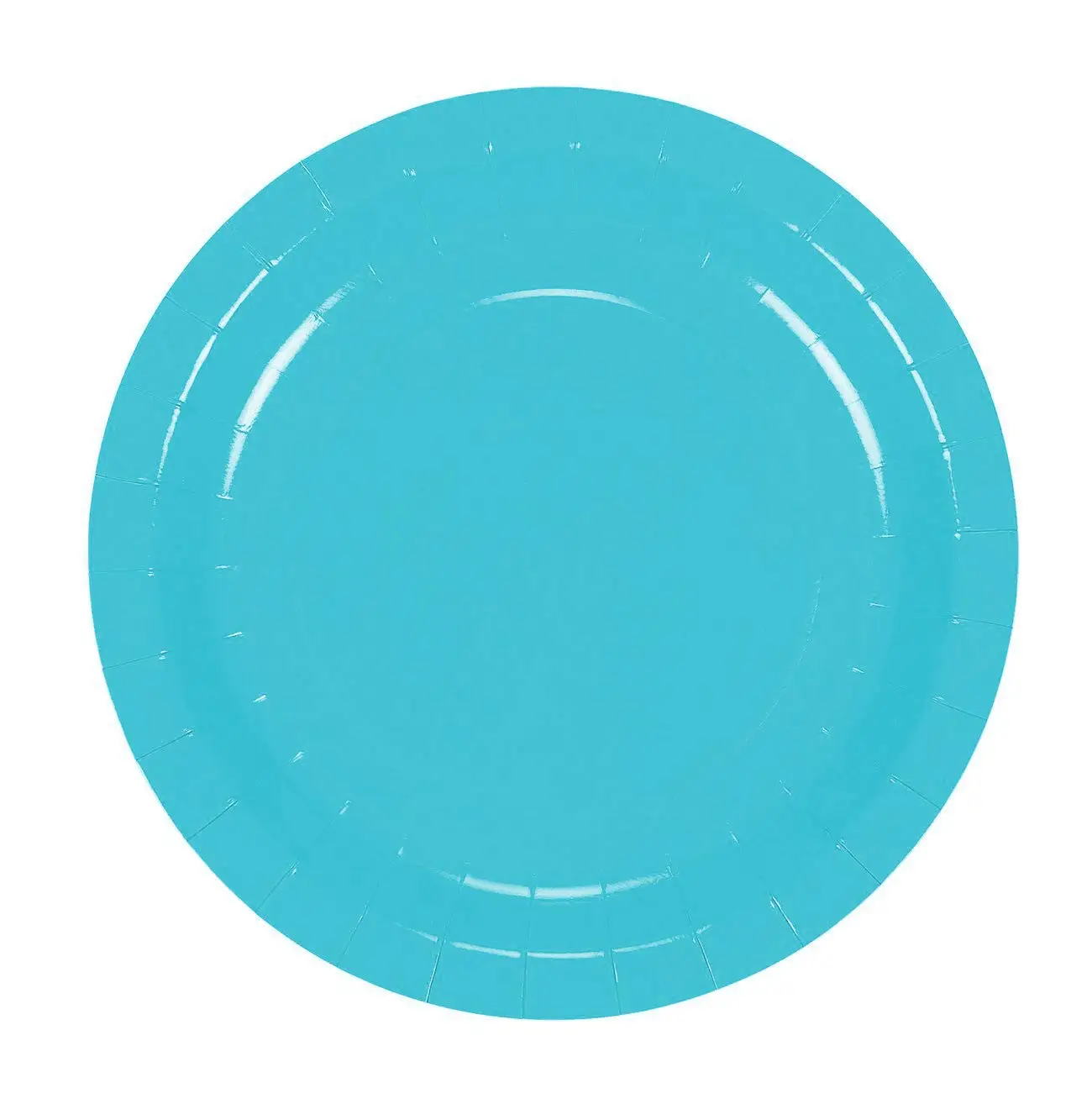 большие одноразовые тарелки