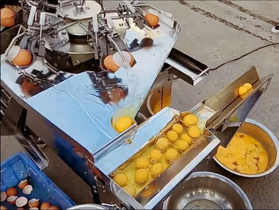 Egg Shell Breaking Separating Machine Buy Egg Separating Machine,Egg