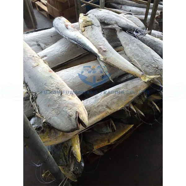 Mahi Mahi Fish Fillet/mahi Mahi Fish/frozen Mahi Mahi Buy Mahi Mahi