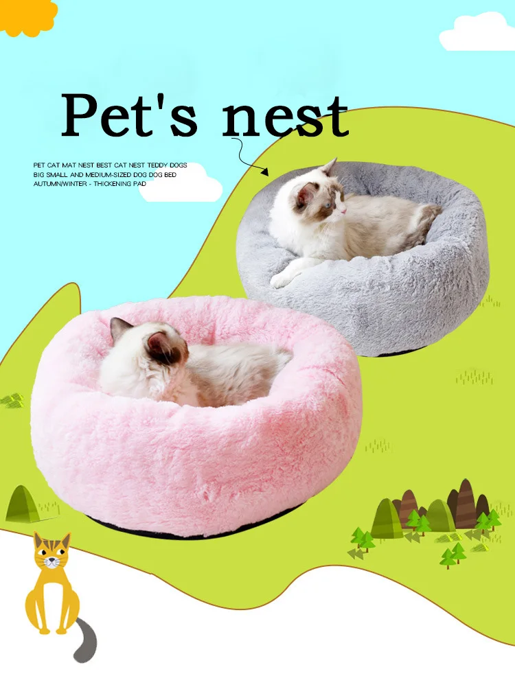 cute small dog beds