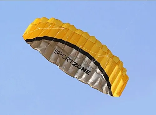 中国定制销售充气双线特技力量风筝