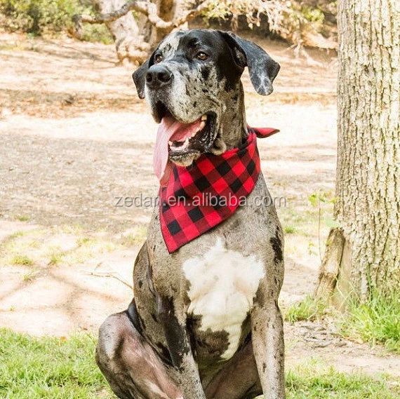 plaid dog scarf