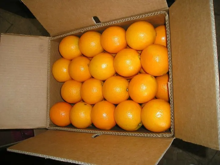 64941_163608066991194_100000260066289_471811_2697791_n