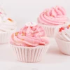 Chinese bubble Foaming Cupcake Bath Bombs fizzers