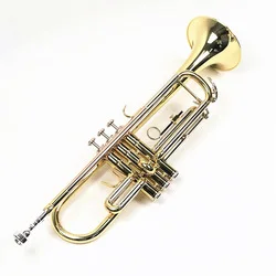 eb alto saxophone