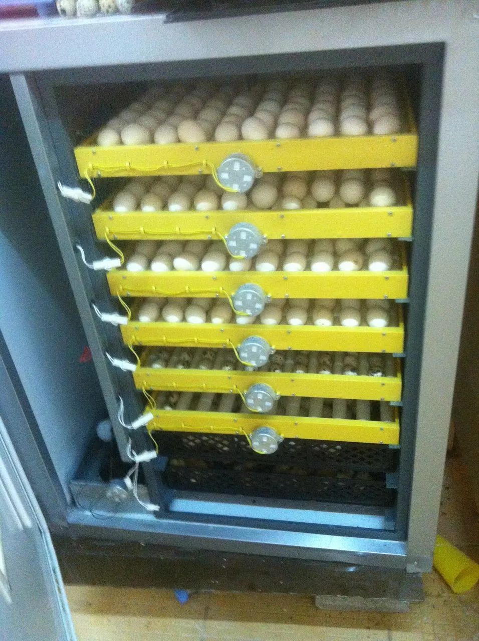 Solar Power High Quality Automatic Chicken Egg Incubator ...