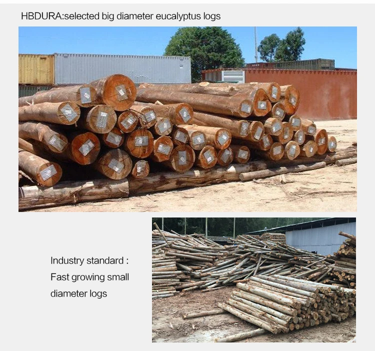 4x8 18mm Malaysia Color Marine Hardwood Plywood Price Buy Hardwood