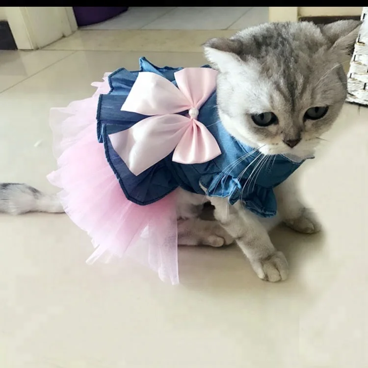 Платья для котов
