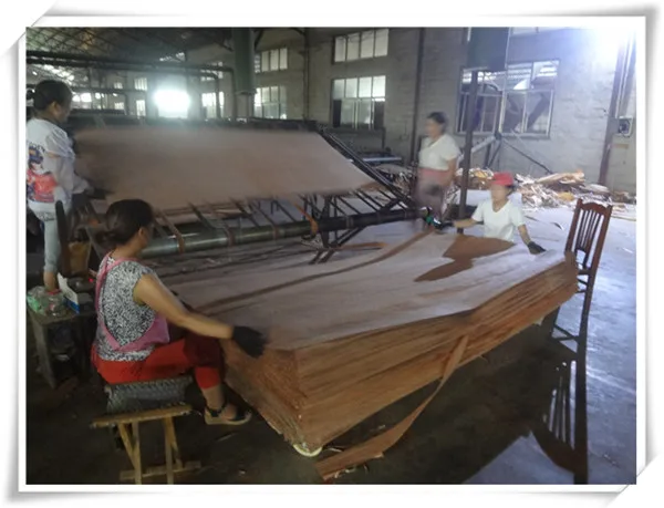 engineereed wood veneer/rotary cut beech veneer/rotary cut birch veneer