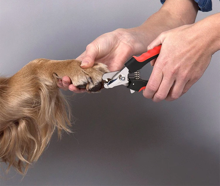 pet grooming wholesale supplies