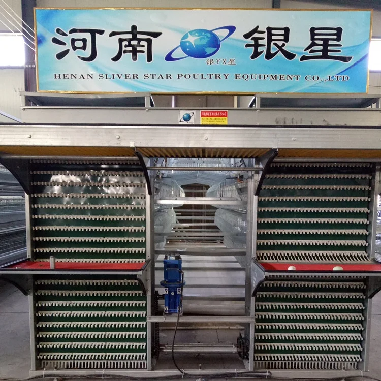 Silver Star Chicken Cages for Layers.jpg