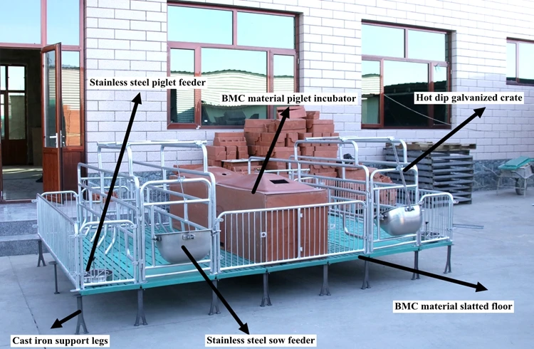 Pig Farming Equipment Adjustable Farrowing Crates For Pigs