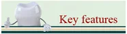 Key features.png