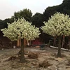 White artificial cherry tree used for decoration in various activities