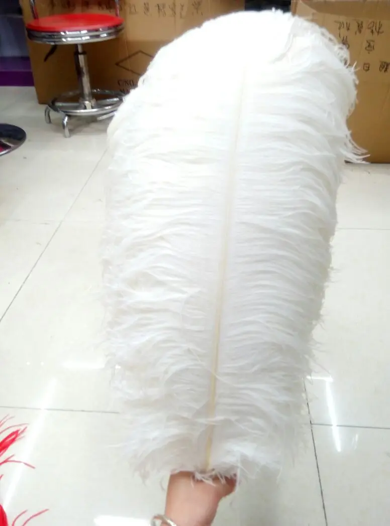 Black Large Wing Plume Ostrich Feather Buy Ostrich Feathers For Sale