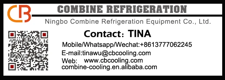 TINA1.jpg